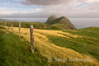 Paisaje cerca de la costa entre Kahakuloa y Honokohau. Maui. Jurassic World, en Hawaii  Entre los paraísos naturales que quedan en el mundo Hawai es uno de los más recurrridos a la hora de rodar algunas de las películas más espectaculares de los últimos años.